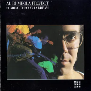 Soaring through a dream